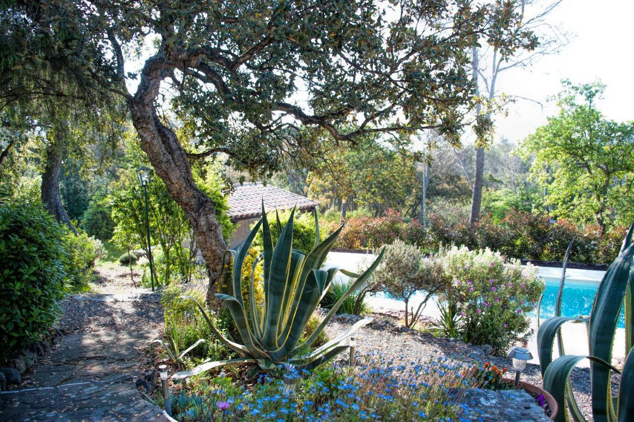 La Garriniere Bed and Breakfast Saint-Raphaël Eksteriør billede